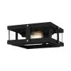 Beck 2-Light Earth Black Flush Mount with Clear Glass by Quoizel -Quoizel Sales earth black quoizel flush mount lights qfl5347ek 64 1000