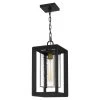 Infinger 9 in. 1-Light Earth Black Outdoor Pendant-Light with Clear Seeded Glass by Quoizel -Quoizel Sales earth black quoizel outdoor pendant lights inf1909ek 64 1000