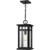 Moira 8.25 in. 1-Light Earth Black Outdoor Pendant-Light with Clear Water Glass by Quoizel -Quoizel Sales earth black quoizel outdoor pendant lights moi1908ek 64 1000