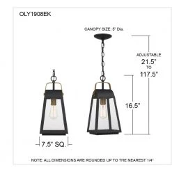 O'Leary 7.5 in. 1-Light Earth Black Outdoor Pendant-Light with Clear Glass by Quoizel -Quoizel Sales earth black quoizel outdoor pendant lights oly1908ek 76 1000