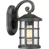 Crusade 1-Light Black Outdoor Wall Lantern Sconce by Quoizel