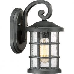 Crusade 1-Light Black Outdoor Wall Lantern Sconce by Quoizel