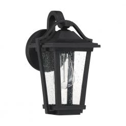 Darius 1-Light Black Outdoor Wall Lantern Sconce by Quoizel -Quoizel Sales earth black quoizel outdoor sconces drs8407ek c3 1000