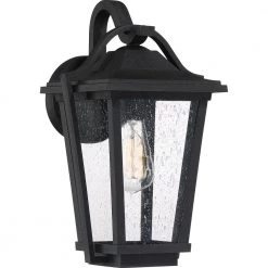 Darius 1-Light Black Outdoor Wall Lantern Sconce by Quoizel