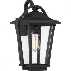 Darius 1-Light Black Outdoor Wall Lantern Sconce by Quoizel