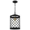 Calais 1-Light Earth Black Mini Pendant by Quoizel -Quoizel Sales earth black quoizel pendant lights cai1510ek 64 1000