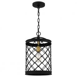 Calais 1-Light Earth Black Mini Pendant by Quoizel 13 Calais 1-Light Earth Black Mini Pendant by Quoizel -Quoizel Sales earth black quoizel pendant lights cai1510ek c3 1000