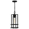 Damien 1-Light Earth Black Mini Pendant by Quoizel