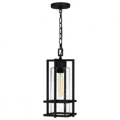 Damien 1-Light Earth Black Mini Pendant by Quoizel