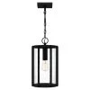 Hazel 1-Light Earth Black Mini Pendant by Quoizel -Quoizel Sales earth black quoizel pendant lights haz1509ek 64 1000