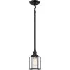 Ludlow 1-Light Earth Black Mini Pendant by Quoizel -Quoizel Sales earth black quoizel pendant lights lud1505ek 64 1000