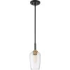 Sagamore 1-Light Earth Black Mini Pendant by Quoizel
