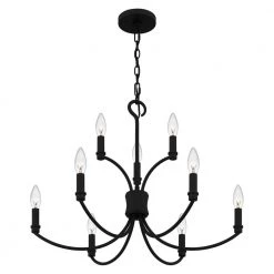 Briar 9-Light Matte Black Chandelier by Quoizel -Quoizel Sales matte black quoizel chandeliers brr5025mbk 1f 1000