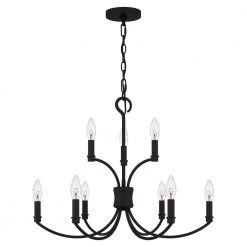 Briar 9-Light Matte Black Chandelier by Quoizel -Quoizel Sales matte black quoizel chandeliers brr5025mbk c3 1000