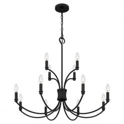 Briar 12-Light Matte Black Chandelier by Quoizel -Quoizel Sales matte black quoizel chandeliers brr5032mbk 1f 1000