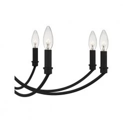 Briar 12-Light Matte Black Chandelier by Quoizel -Quoizel Sales matte black quoizel chandeliers brr5032mbk 44 1000