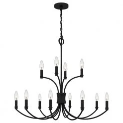Briar 12-Light Matte Black Chandelier by Quoizel -Quoizel Sales matte black quoizel chandeliers brr5032mbk 4f 1000