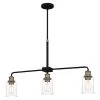 Cox 3-Light Matte Black Chandelier with Clear Glass by Quoizel -Quoizel Sales matte black quoizel chandeliers cox336mbk 64 1000