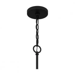 Cox 10-Light Matte Black Chandelier with Clear Glass by Quoizel -Quoizel Sales matte black quoizel chandeliers cox5030mbk fa 1000