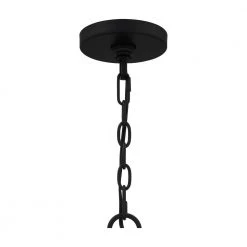 Tansy 4-Light Matte Black Pendant with Clear by Quoizel 17 Tansy 4-Light Matte Black Pendant with Clear by Quoizel -Quoizel Sales matte black quoizel chandeliers qp5339mbk fa 1000