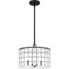 Seigler 3-Light Matte Black Shaded Pendant by Quoizel