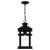Scout 1-Light Matte Black Outdoor Pendant Light with Clear Glass by Quoizel -Quoizel Sales matte black quoizel outdoor pendant lights sco1909mbk 64 1000
