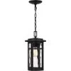 Uma 8 in. 1-Light Matte Black Outdoor Pendant-Light with Clear Water Glass by Quoizel