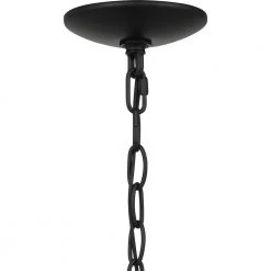Uma 8 in. 1-Light Matte Black Outdoor Pendant-Light with Clear Water Glass by Quoizel 20 Uma 8 in. 1-Light Matte Black Outdoor Pendant-Light with Clear Water Glass by Quoizel -Quoizel Sales matte black quoizel outdoor pendant lights uma1908mbk 76 1000