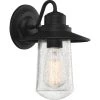 Radford 1-Light Black Outdoor Wall Lantern Sconce by Quoizel -Quoizel Sales matte black quoizel outdoor sconces rad8407mbk 64 1000