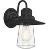 Radford 1-Light Black Outdoor Wall Lantern Sconce by Quoizel