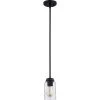 Blanche 1-Light Matte Black Mini Pendant by Quoizel