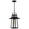Devonport 1-Light Matte Black Mini Pendant by Quoizel 2 Devonport 1-Light Matte Black Mini Pendant by Quoizel -Quoizel Sales matte black quoizel pendant lights dev1510mbk 64 1000