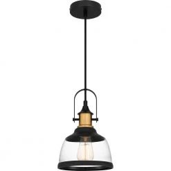 Warnock 1-Light Matte Black Shaded Pendant by Quoizel