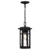 Uma 1-Light Matte Black Chandelier with Clear Water Glass by Quoizel -Quoizel Sales matte black quoizel pendant lights uma1508mbk 64 1000