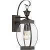 Oasis 1-Light Bronze Outdoor Wall Lantern Sconce by Quoizel -Quoizel Sales medici bronze quoizel outdoor sconces oas8406z 64 1000