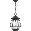 Boston 1-Light Black Outdoor Pendant Light by Quoizel