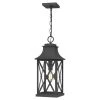 Ellerbee 1-Light Mottled Black Lantern Pendant Light by Quoizel -Quoizel Sales mottled black quoizel pendant lights elb1509mb 64 1000