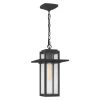 Randall 1-Light Mottled Black Lantern Pendant Light by Quoizel -Quoizel Sales mottled black quoizel pendant lights rdl1509mb 64 1000