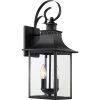 Chancellor 1-Light Mystic Black Outdoor Wall Lantern Sconce by Quoizel 2 Chancellor 1-Light Mystic Black Outdoor Wall Lantern Sconce by Quoizel -Quoizel Sales mystic black quoizel outdoor sconces ccr8408k 64 1000