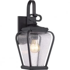 Province 1-Light Black Outdoor Wall Lantern Sconce by Quoizel