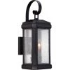 Trumbull 1-Light Mystic Black Outdoor Wall Lantern Sconce by Quoizel