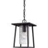 Lodge 1-Light Mystic Black Lantern Pendant Light by Quoizel 2 Lodge 1-Light Mystic Black Lantern Pendant Light by Quoizel -Quoizel Sales mystic black quoizel pendant lights ldg1509k 64 1000