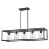 New Harbor 5-Light Old Bronze Outdoor Chandelier by Quoizel