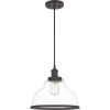 Leo 12 in. 1-Light Old Bronze Mini Pendant by Quoizel -Quoizel Sales old bronze quoizel pendant lights leoc1512oz 64 1000