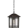 Cedar Point 1-Light Bronze Outdoor Pendant Light by Quoizel 1 Cedar Point 1-Light Bronze Outdoor Pendant Light by Quoizel -Quoizel Sales palladian bronze quoizel outdoor pendant lights cpt1910pn 64 1000
