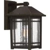 Cedar Point 1-Light Bronze Outdoor Wall Lantern Sconce by Quoizel 1 Cedar Point 1-Light Bronze Outdoor Wall Lantern Sconce by Quoizel -Quoizel Sales palladian bronze quoizel outdoor sconces cpt8408pn 64 1000