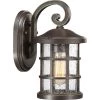 Crusade 1-Light Bronze Outdoor Wall Lantern Sconce by Quoizel