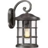 Crusade 1-Light Bronze Outdoor Wall Lantern Sconce by Quoizel