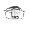 Gallery 14 in. 4-Light Royal Ebony Semi-Flush Mount by Quoizel -Quoizel Sales royal ebony quoizel flush mount lights gly1714ba 64 1000