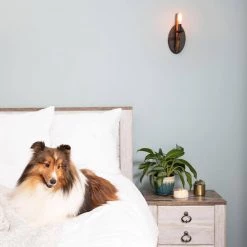 Shire 1-Light Rustic Black Wall Sconce by Quoizel 11 Shire 1-Light Rustic Black Wall Sconce by Quoizel -Quoizel Sales rustic black quoizel vanity lighting shr8701rk 31 1000